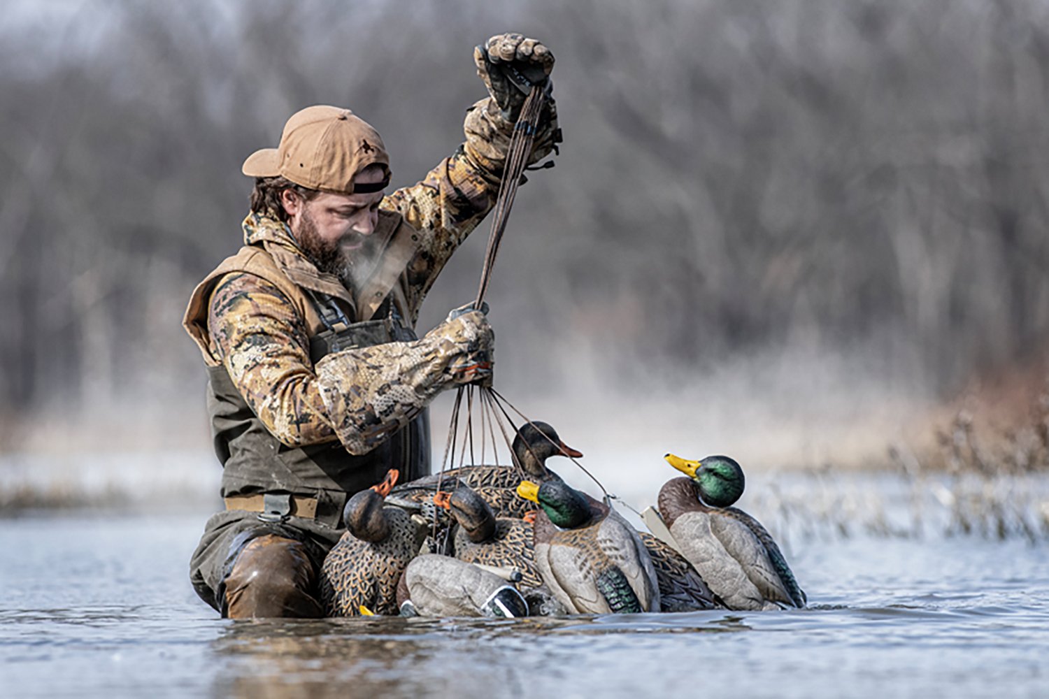 Rig'Em Right Outdoor Mainline Series Mallard Decoy 6-Pack - view number 8