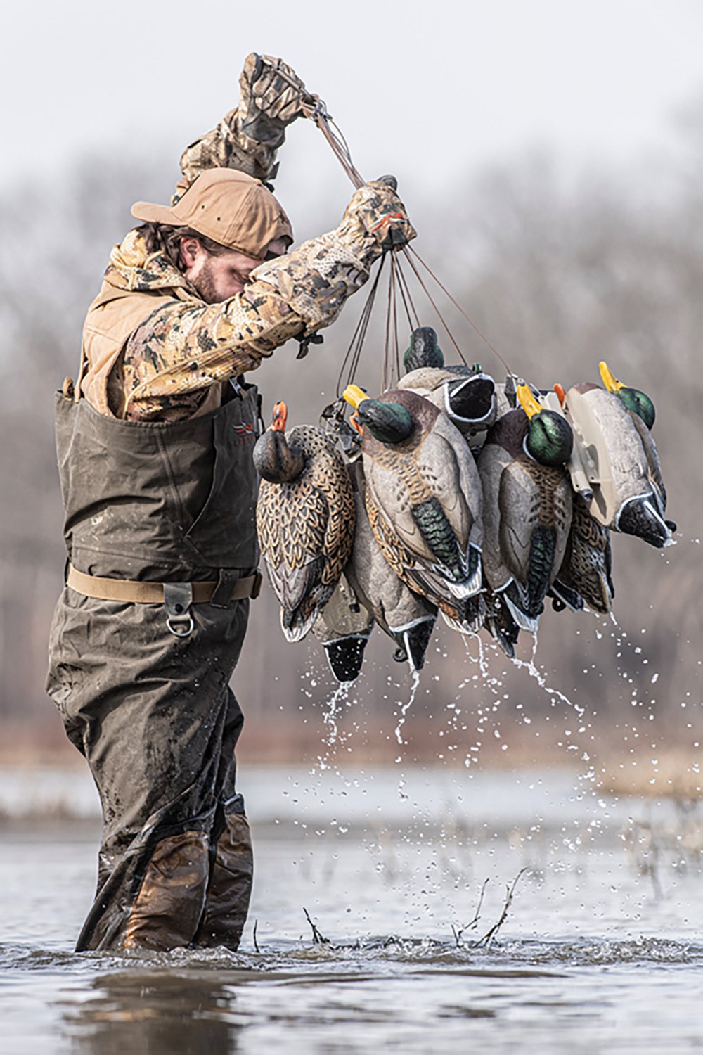 Rig'Em Right Outdoor Mainline Series Mallard Decoy 6-Pack