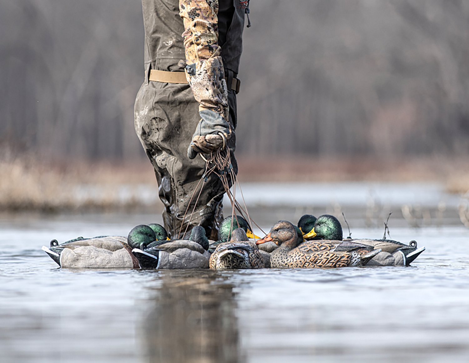Rig'Em Right Outdoor Mainline Series Mallard Decoy 6-Pack