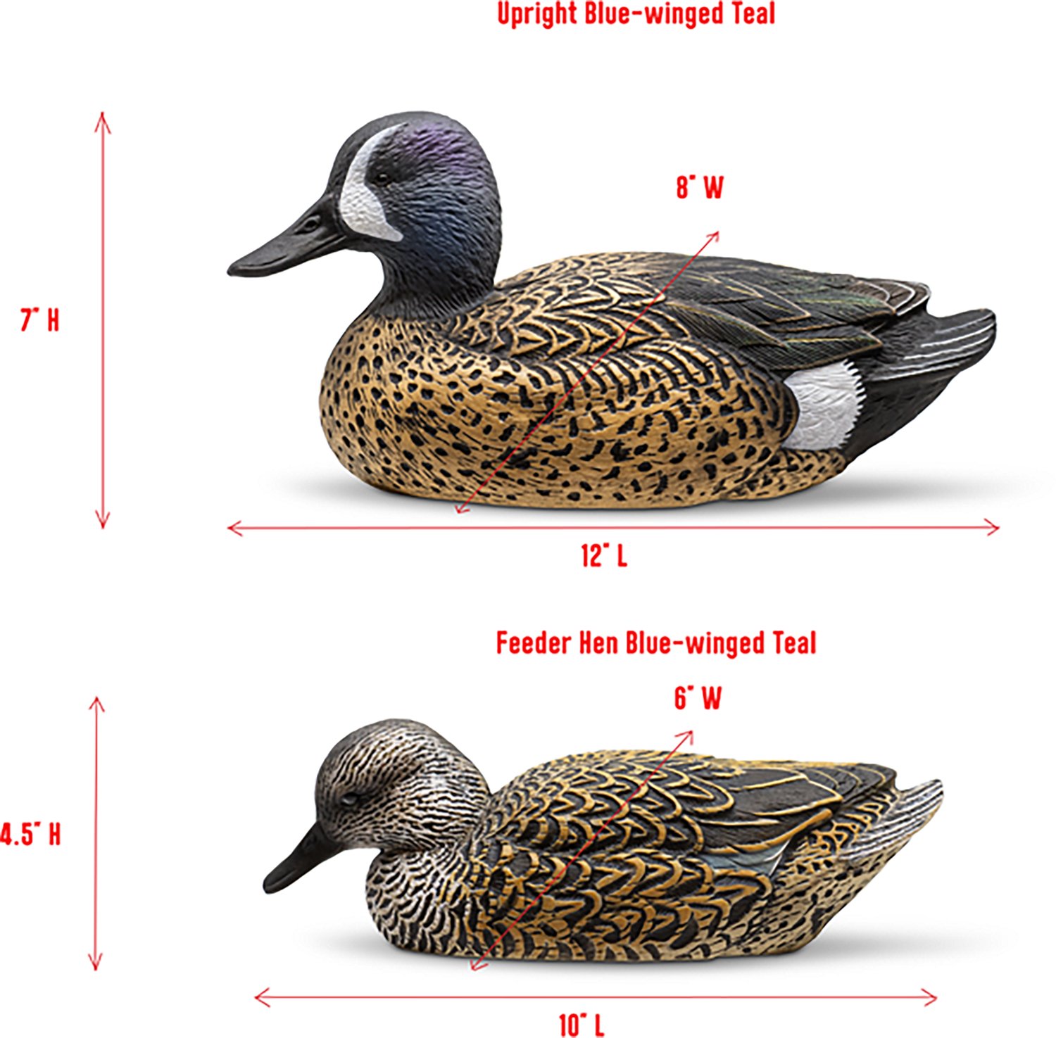 Rig'Em Right Outdoors Mainline Series Blue-Wing Teal Decoy 12-Pack - view number 5