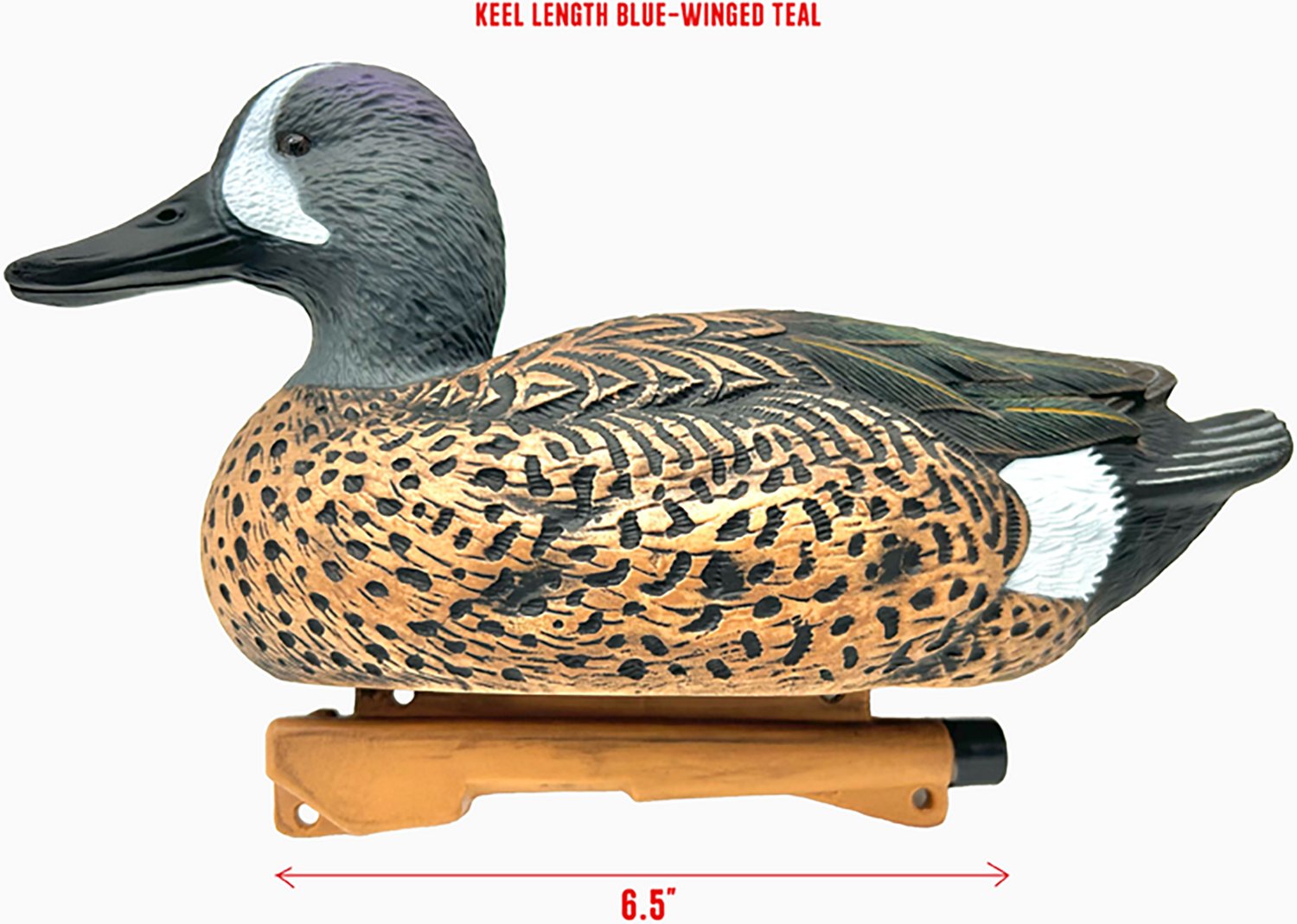 Rig'Em Right Outdoors Mainline Series Blue-Wing Teal Decoy 12-Pack - view number 6