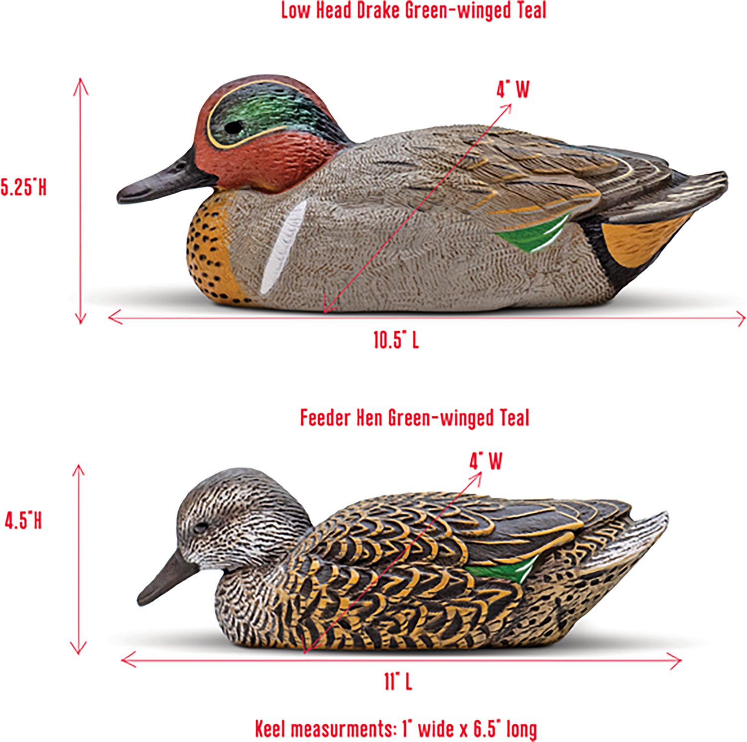 Rig'Em Right Outdoors Mainline Series Green-Wing Teal Decoy 12-Pack - view number 5