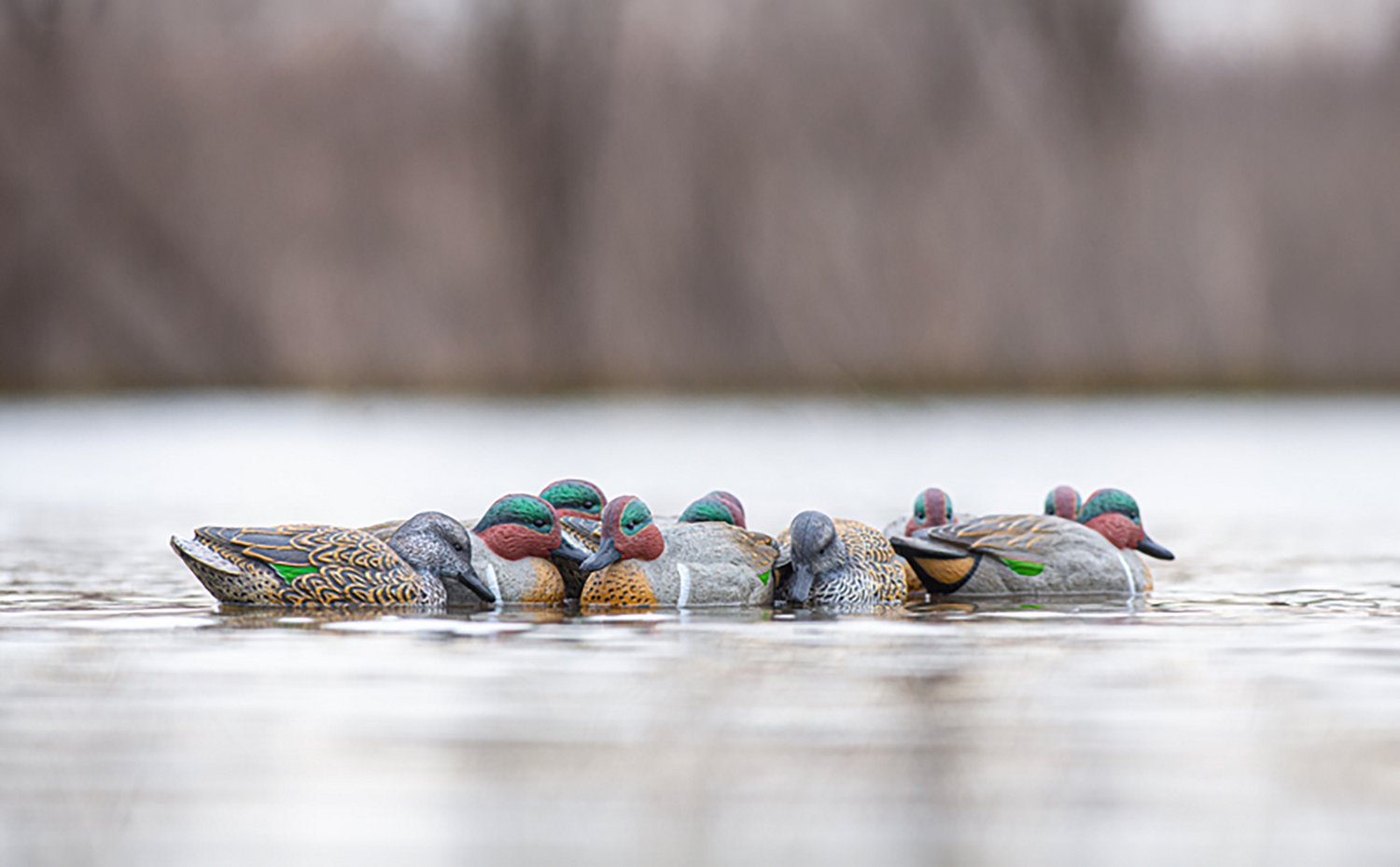 Rig'Em Right Outdoors Mainline Series Green-Wing Teal Decoy 12-Pack - view number 6