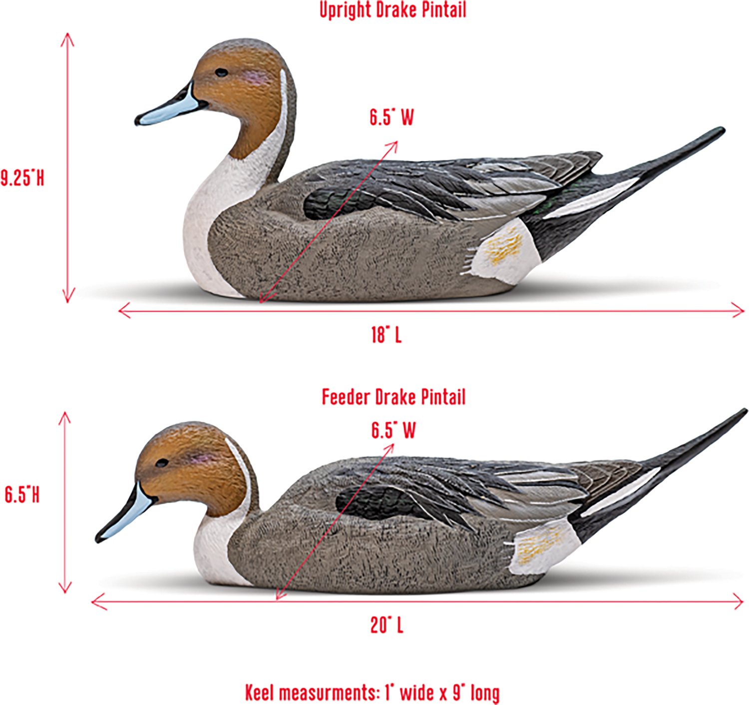Rig'Em Right Outdoors Mainline Series Pintail Decoy 6-Pack - view number 6