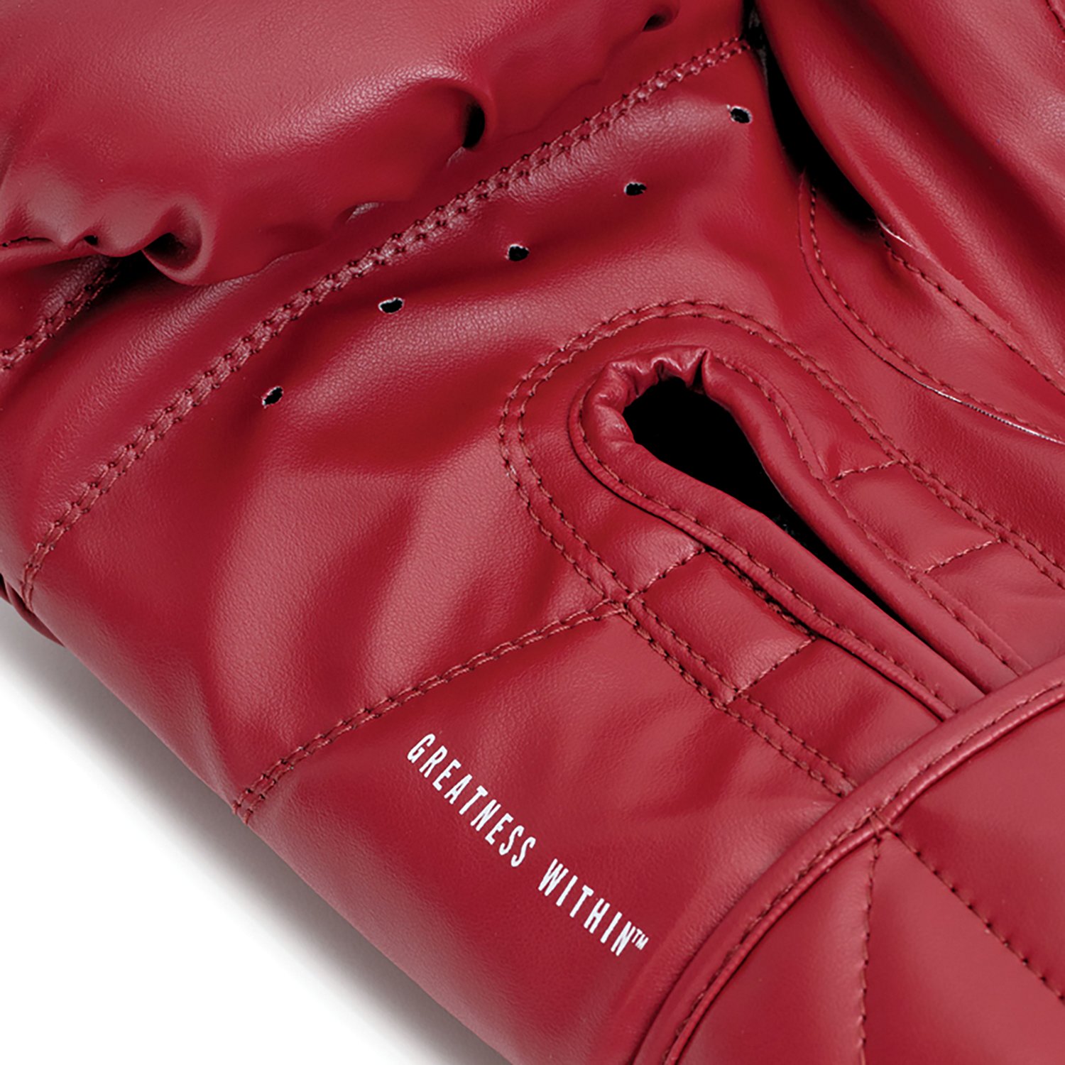 Everlast Classic Synthetic Leather Boxing Gloves - view number 6