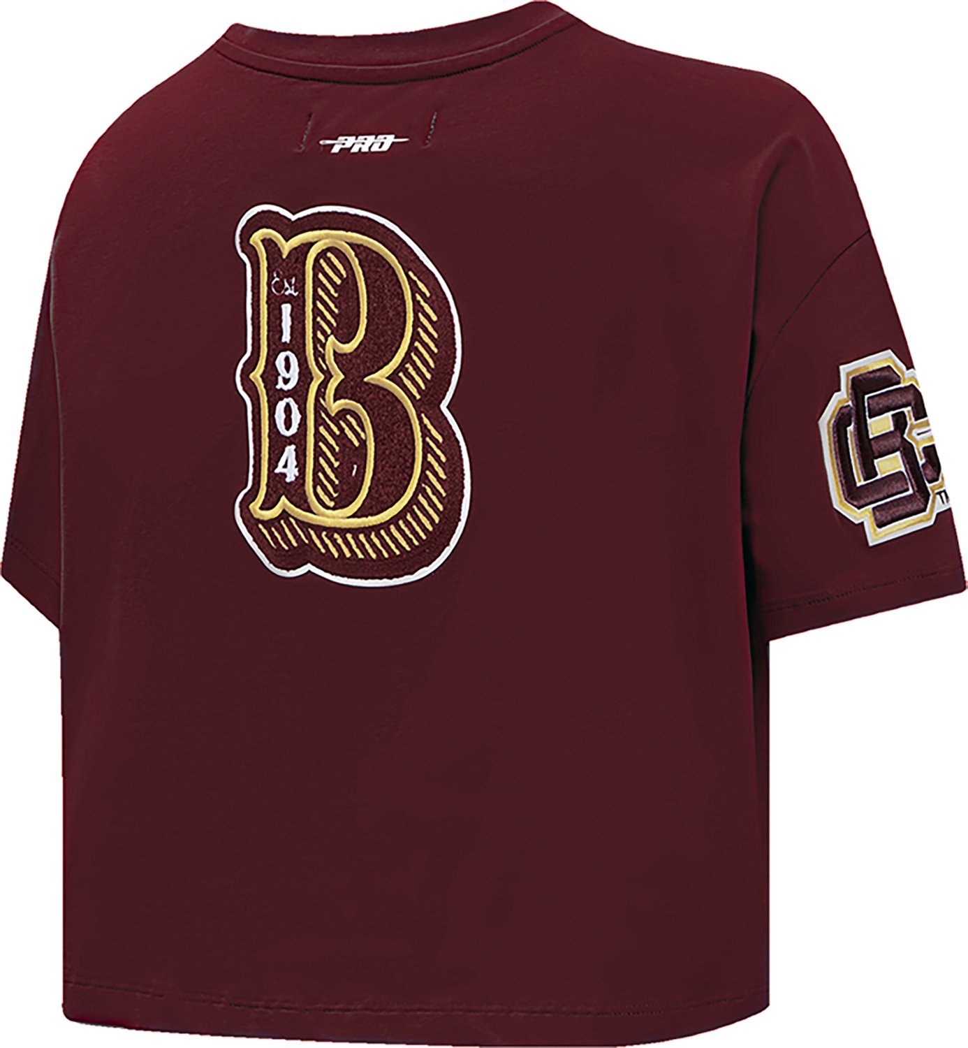 Pro Standard Women's Bethune-Cookman Wildcats Vintage Varsity Boxy Short Sleeve T-shirt - view number 4