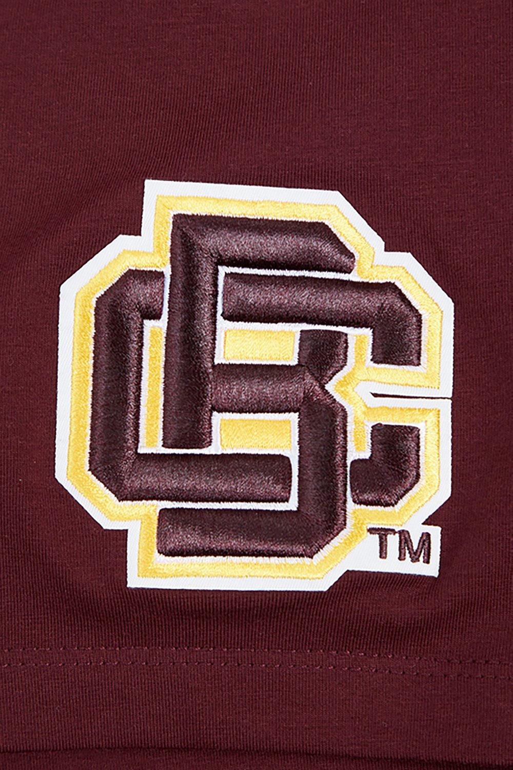 Pro Standard Women's Bethune-Cookman Wildcats Vintage Varsity Boxy Short Sleeve T-shirt - view number 6