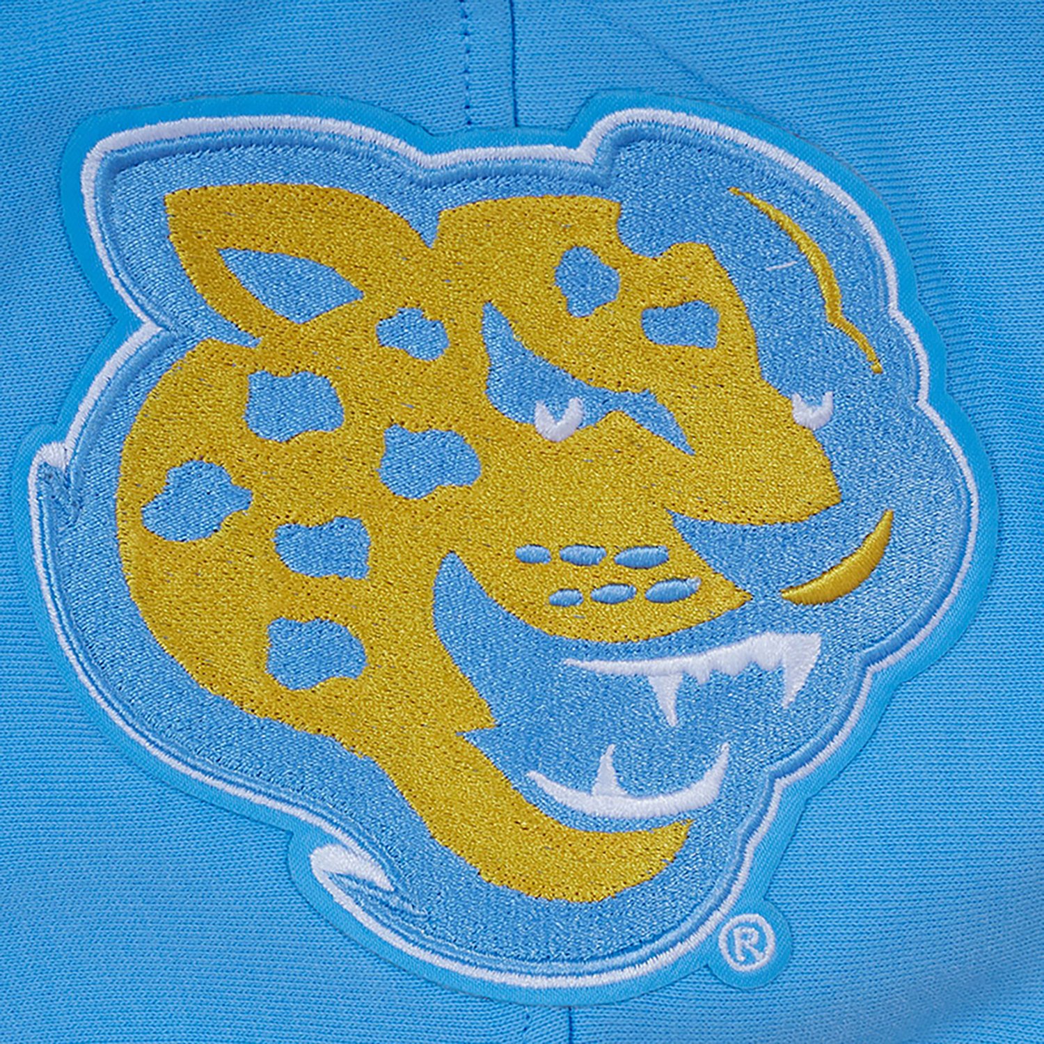 Pro Standard Men's Southern Homecoming Fleece Hoodie - view number 5