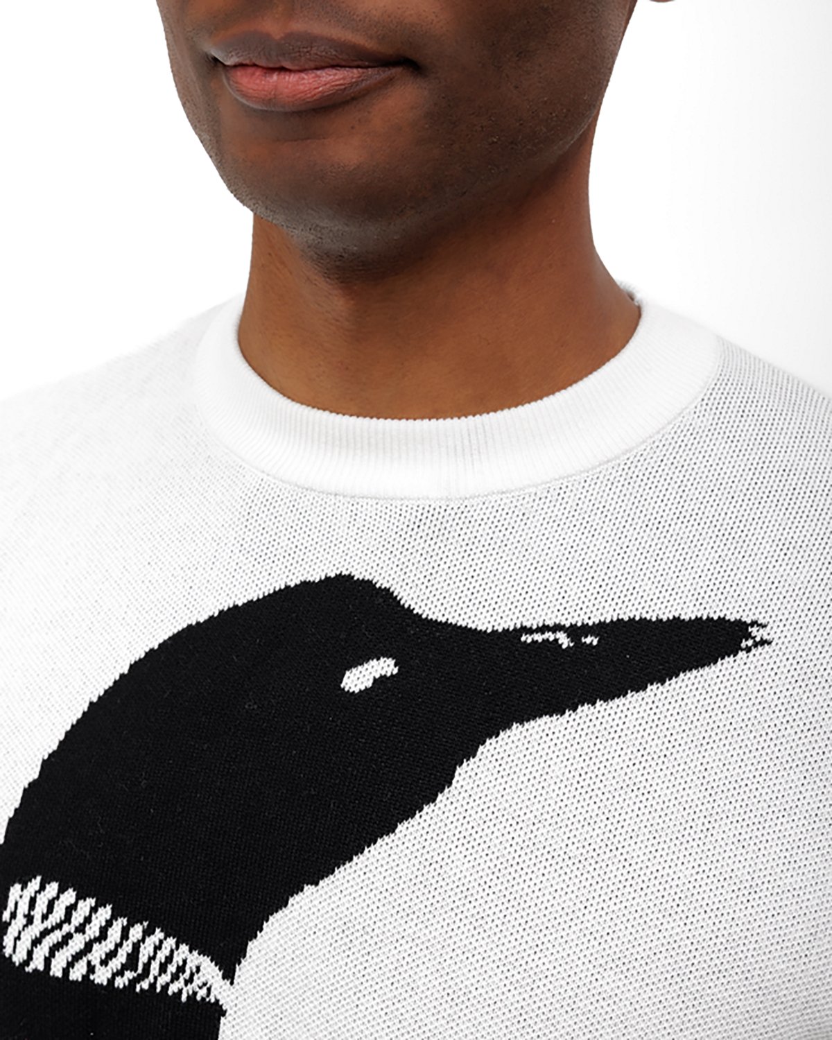 Waggle Men's Loon Call Wildknit Crew Sweatshirt - view number 3