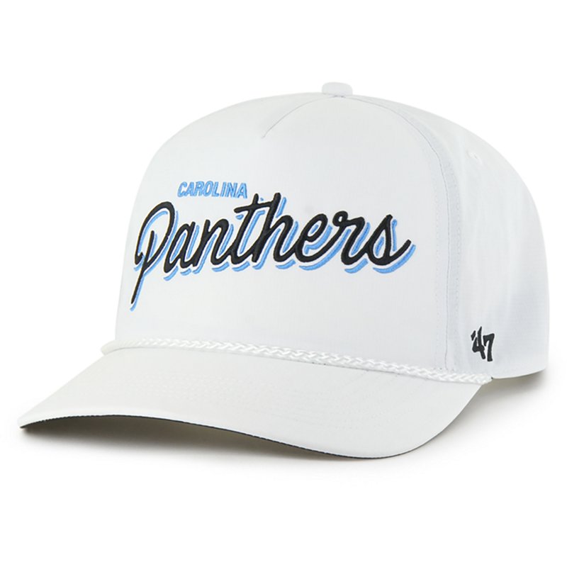 47 Panthers Brr Fai… - image