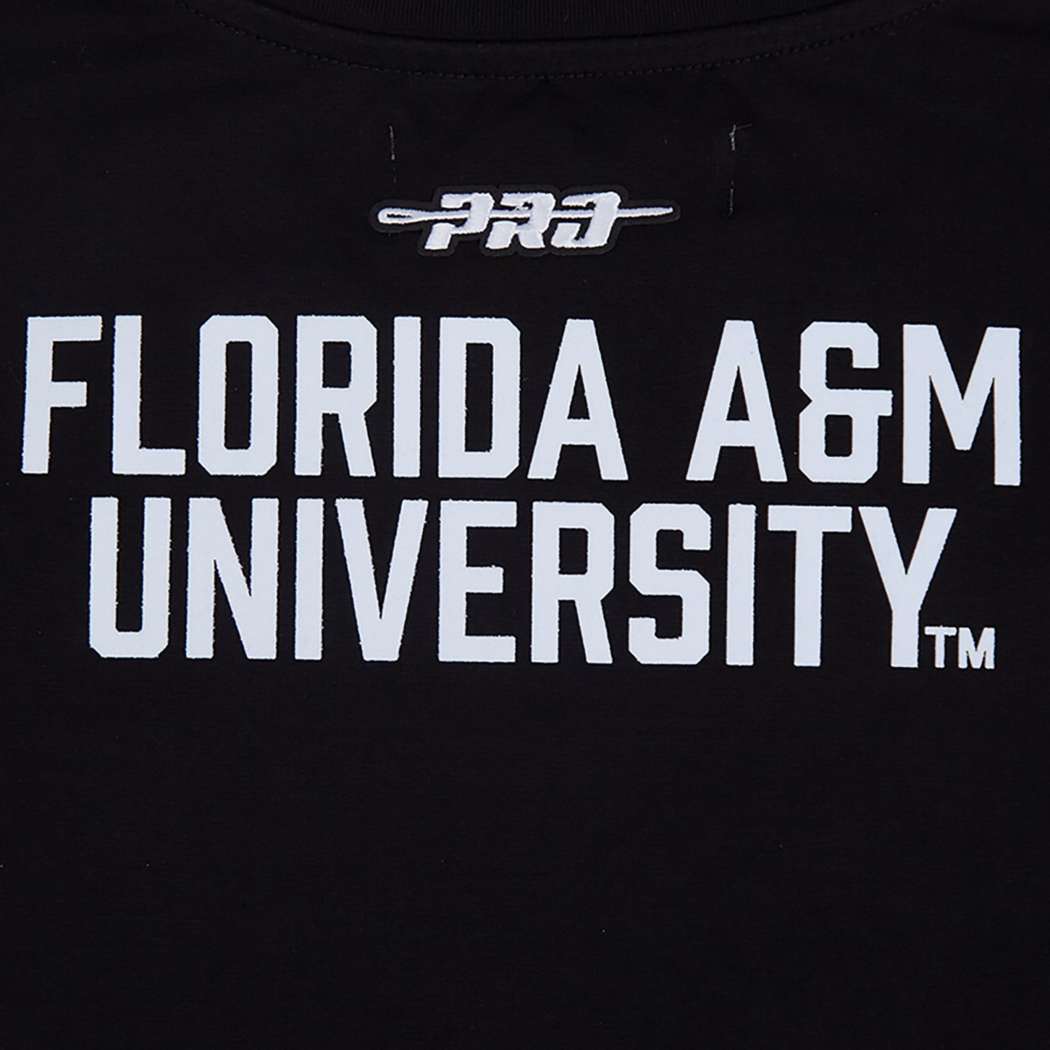 Pro Standard Women's Florida A&M Homecoming Slim Fit Top - view number 6