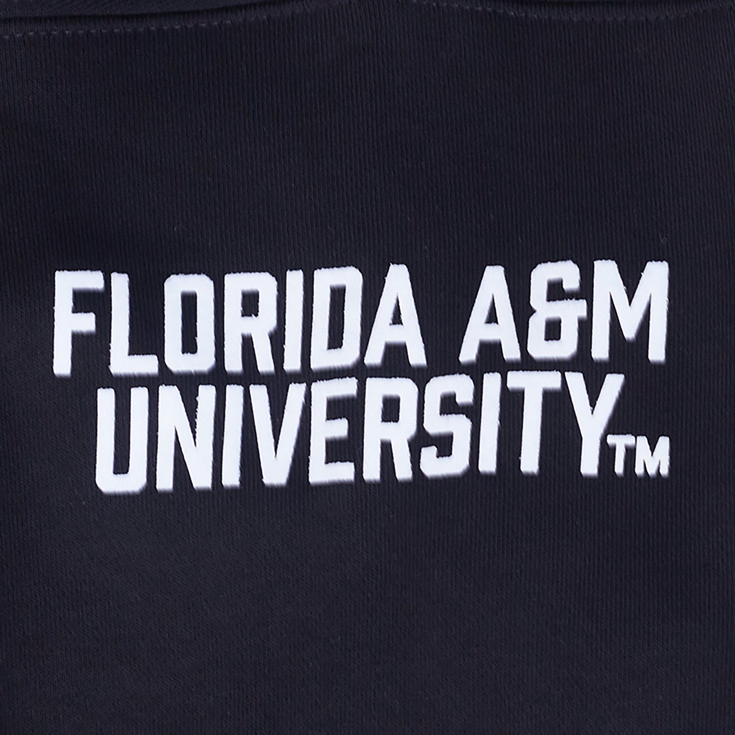 Pro Standard Women's Florida A&M Homecoming Fleece Crew Sweatshirt - view number 6