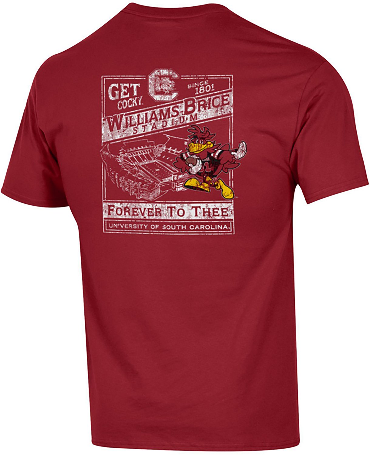 Champion Men's University of South Carolina Stadium Graphic T-shirt - view number 2