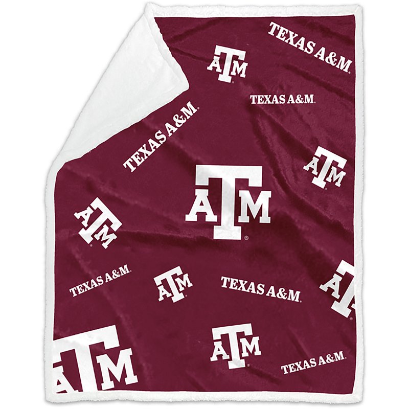 Logo Texas A&M Over… - image