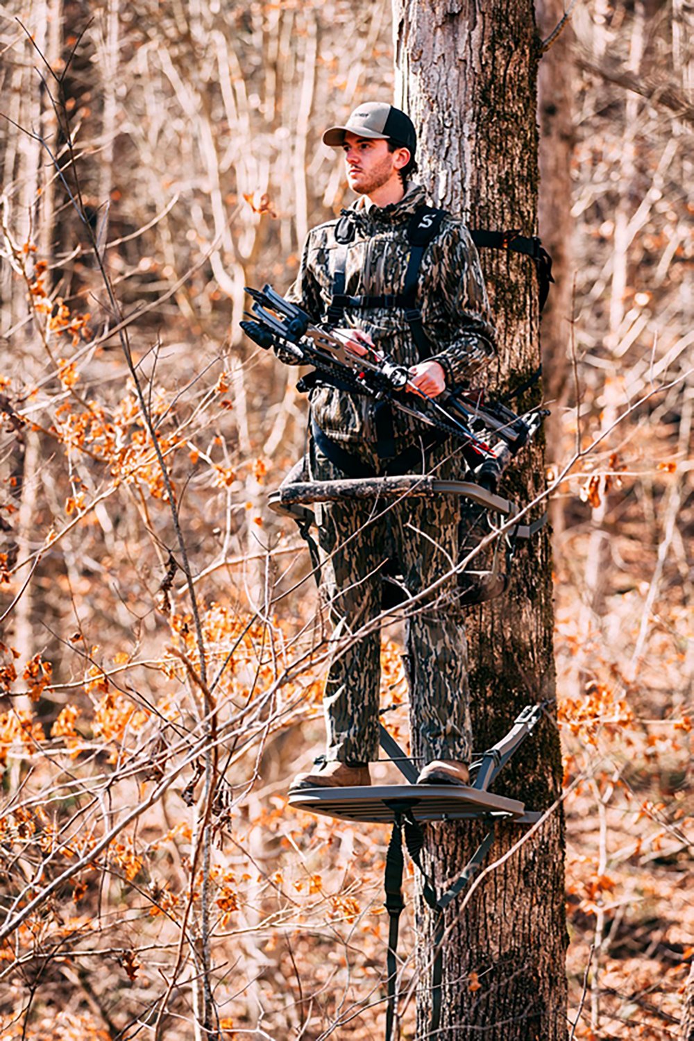 Summit Element Safety Large Treestand Harness - view number 3