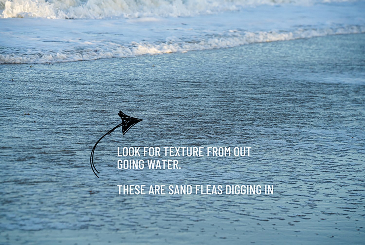 Tsunami 10 in Sand Flea Rake with 40 in Aluminum Handle - view number 5