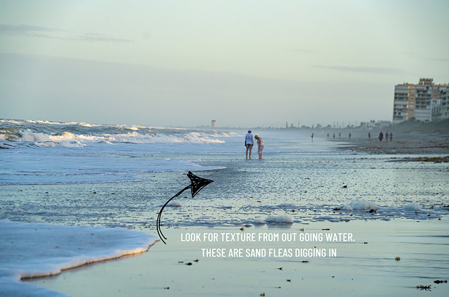 Tsunami 10 in Sand Flea Rake with 40 in Aluminum Handle - view number 6