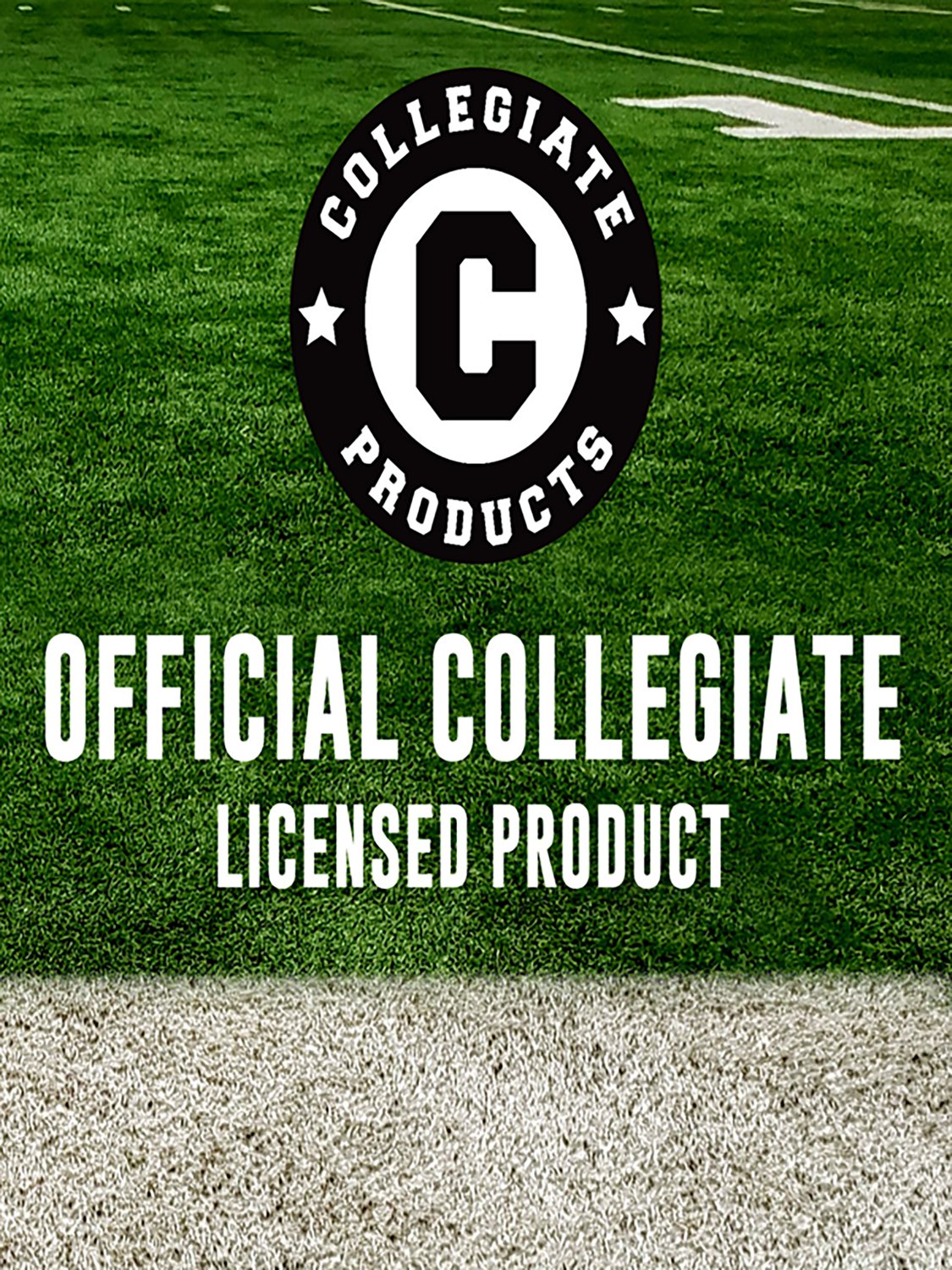 Franklin Tennessee Air Tech Football - view number 8