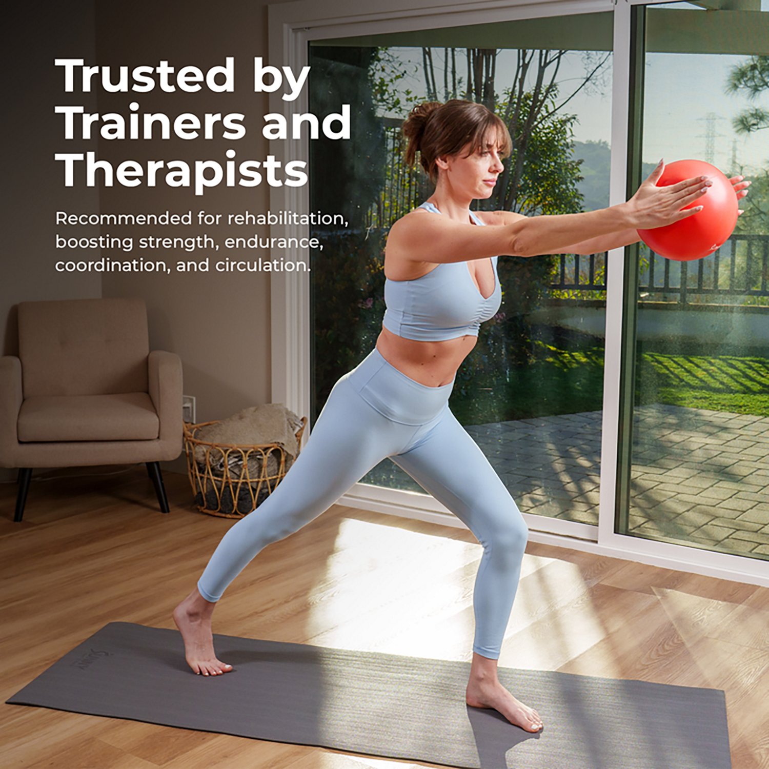 Sunny Health & Fitness Premium Pilates Ball 9" - view number 5