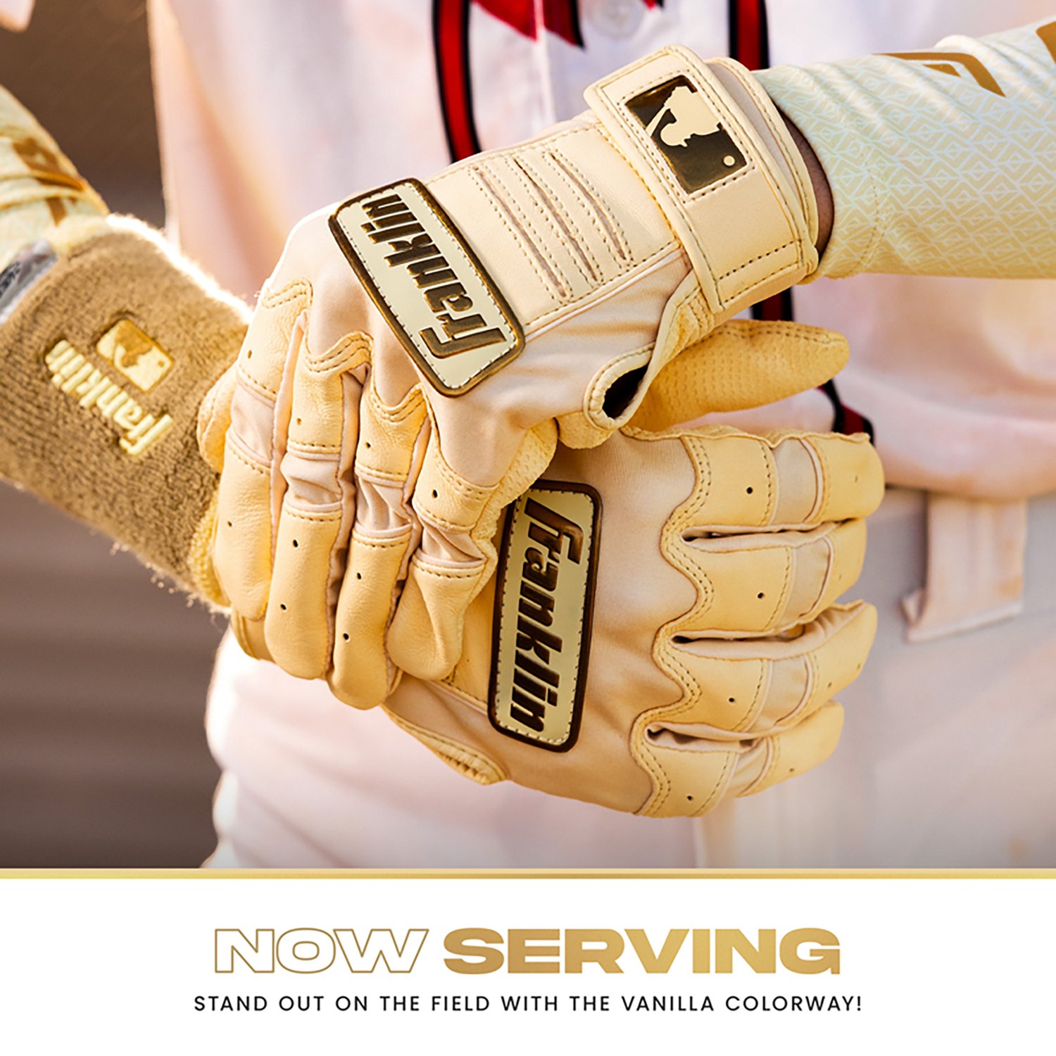 Franklin Youth CFX Pro Chrome Batting Gloves                                                                                     - view number 5