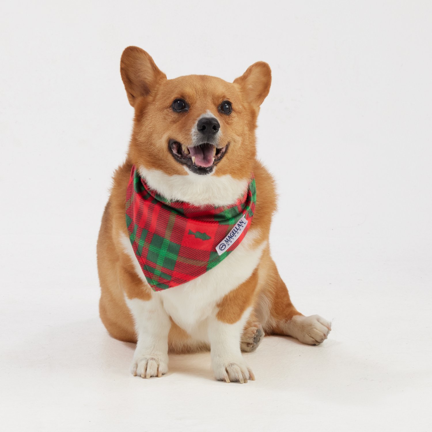 Magellan Outdoors Printed Dog Bandana
