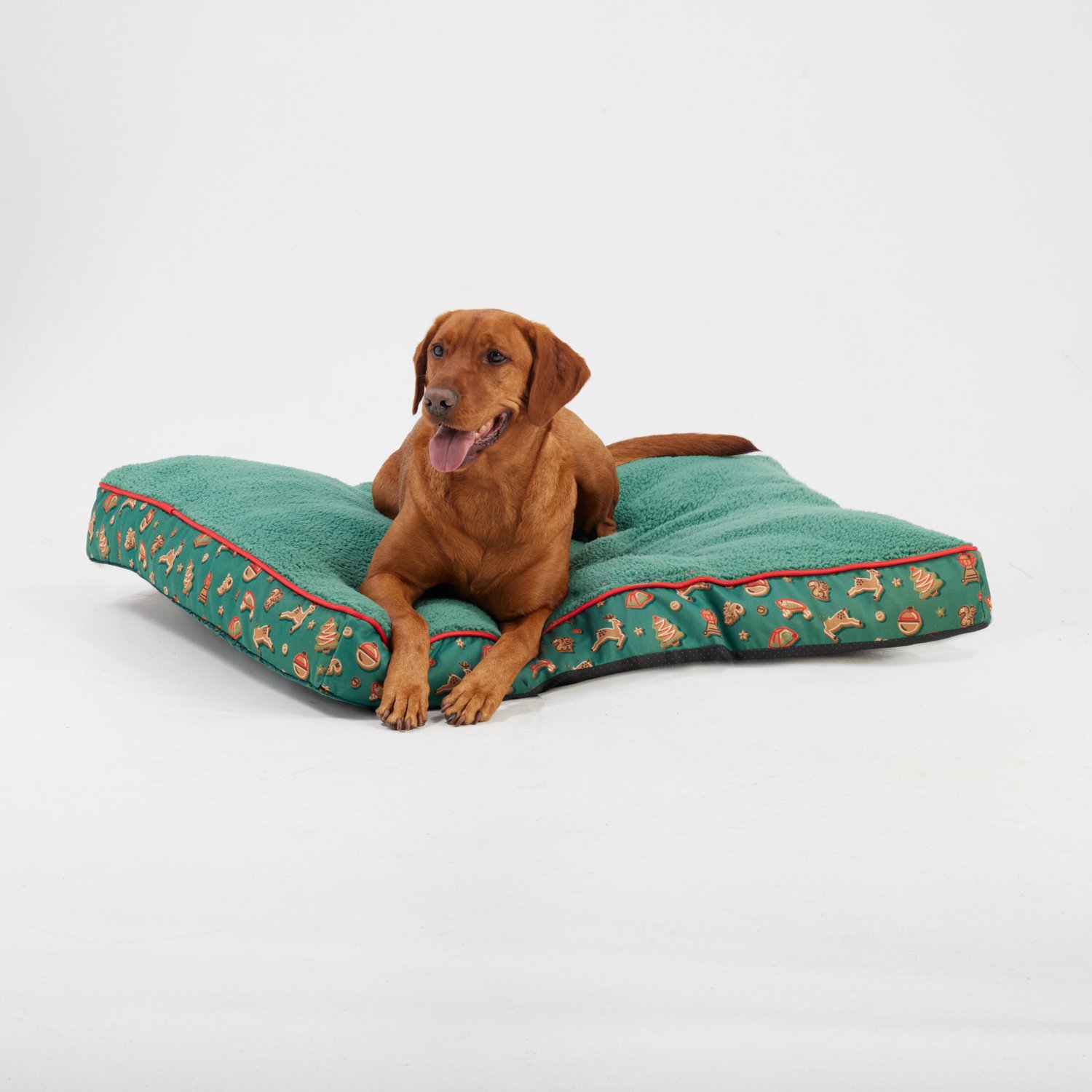 Magellan Outdoors Printed Flat Pet Bed Academy