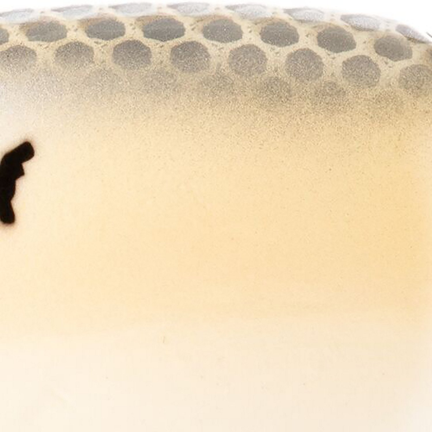 Strike King Hog Father Jr Bait - view number 7