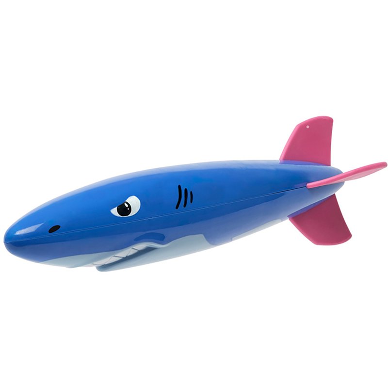 Coconut Grove Dive …