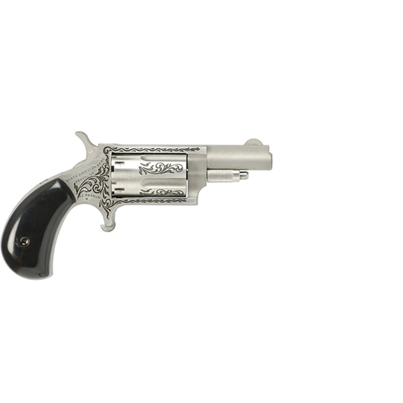 North American Arms…