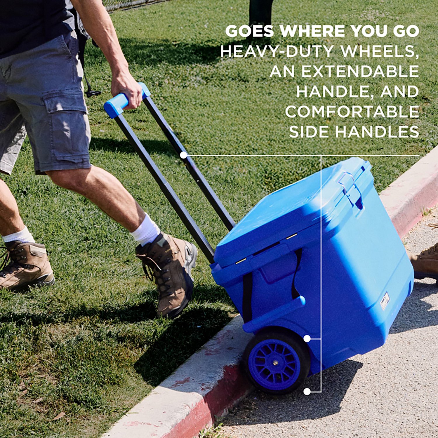 Coleman Pro 55 qt Hard Cooler - view number 6