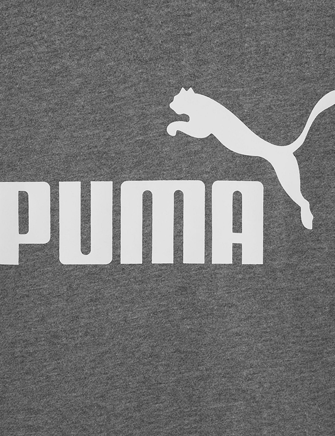 PUMA Boys’ PS Foundations No 1 Logo Fleece PO Hoodie - view number 6