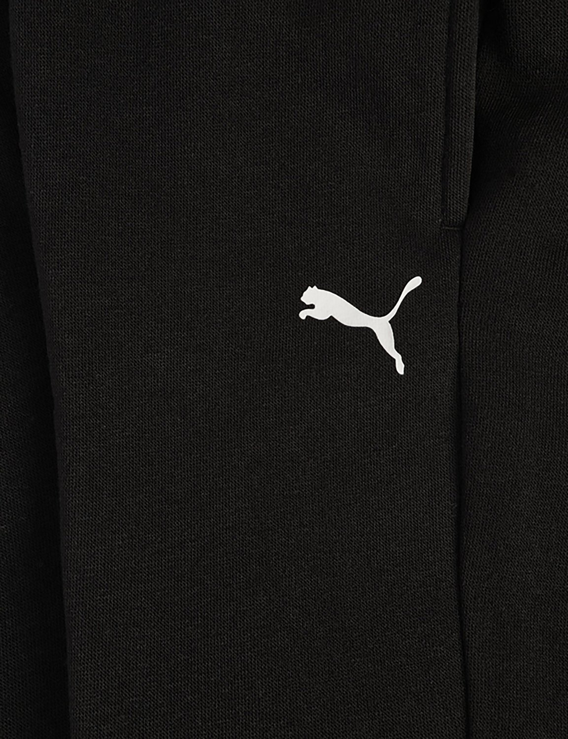 PUMA Boys’ PS Essentials Basics Poly Fleece Joggers - view number 5