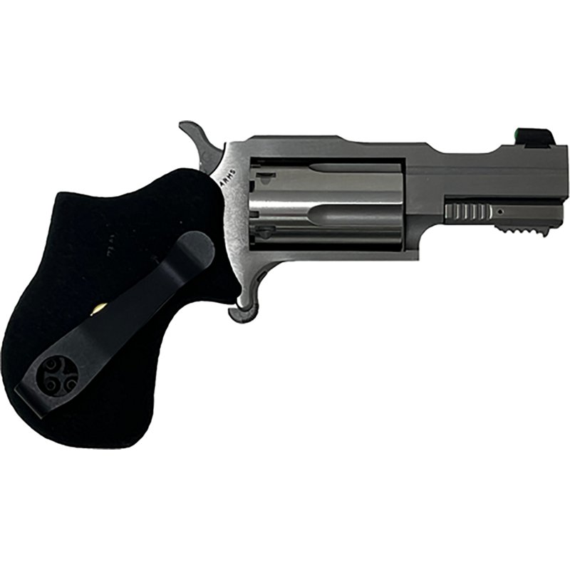 North American Arms…