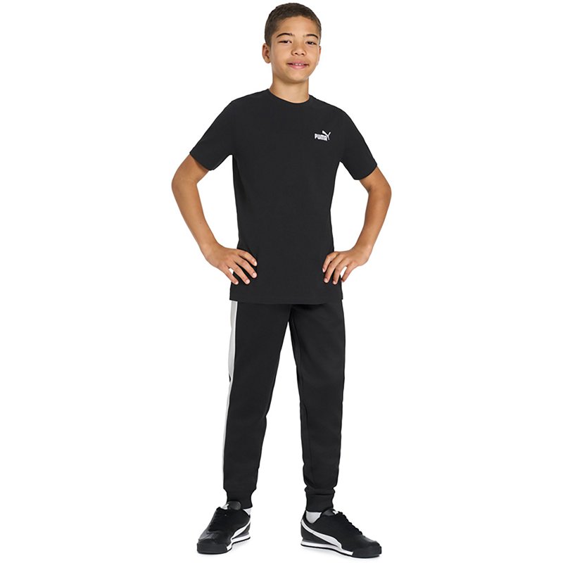 PUMA Boysâ Essentials Basics No 1 Logo T-shirt