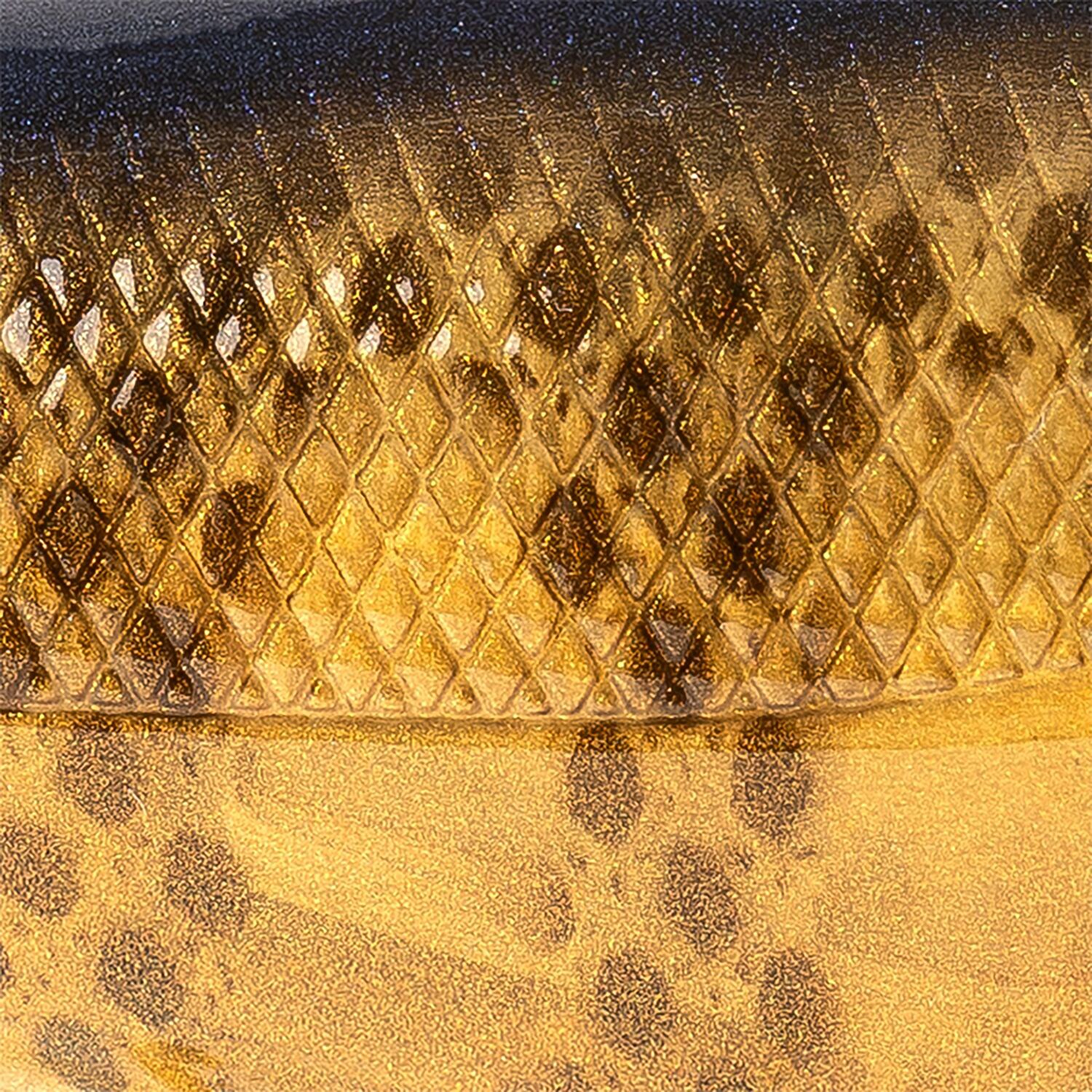 Strike King Patroller 90 Black Lab - view number 7