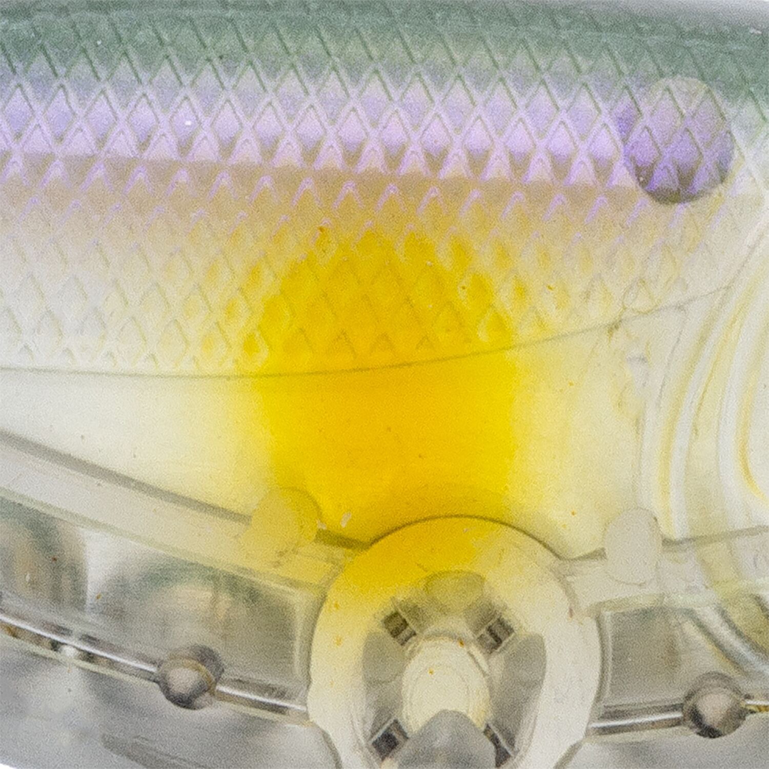 Strike King Patroller 90 Black Lab - view number 7