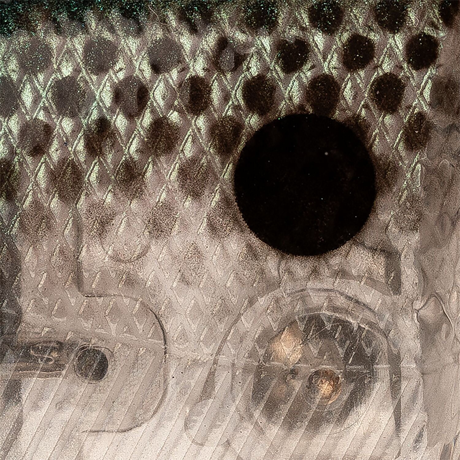 Strike King MachShad 90 Bluegill - view number 7