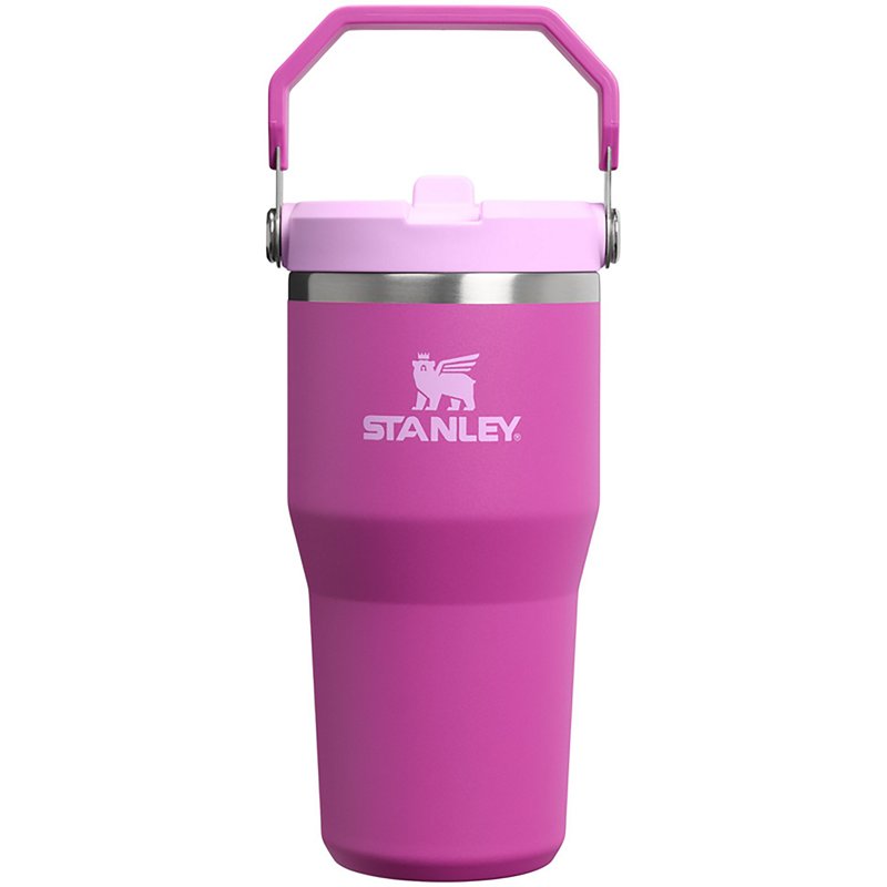 Stanley 20 Oz Icefl…