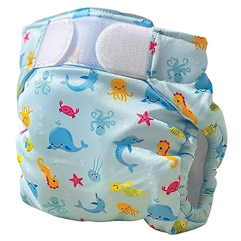 Freds Swim Academy … - image