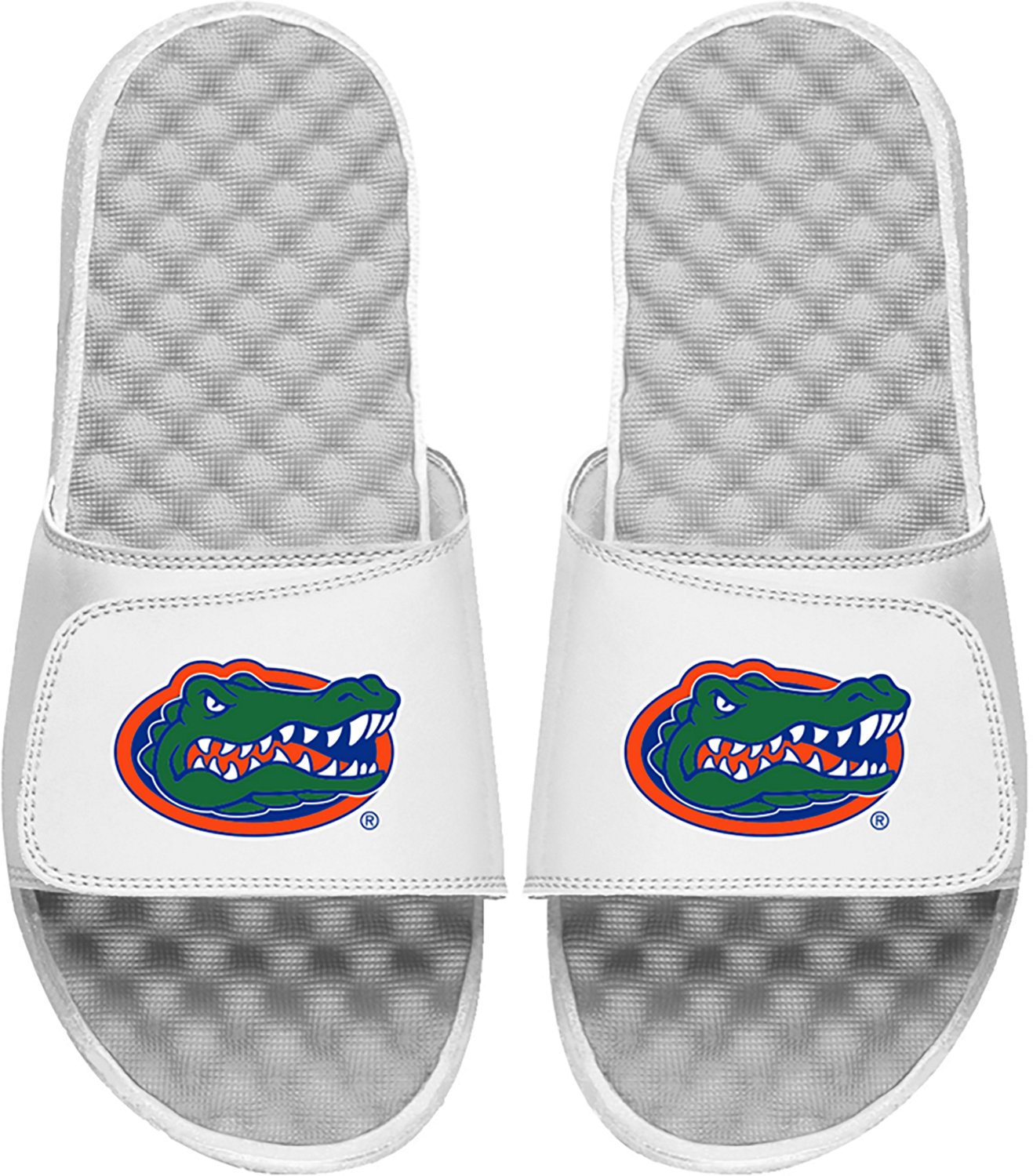 ISlide University of Florida Primary Slides