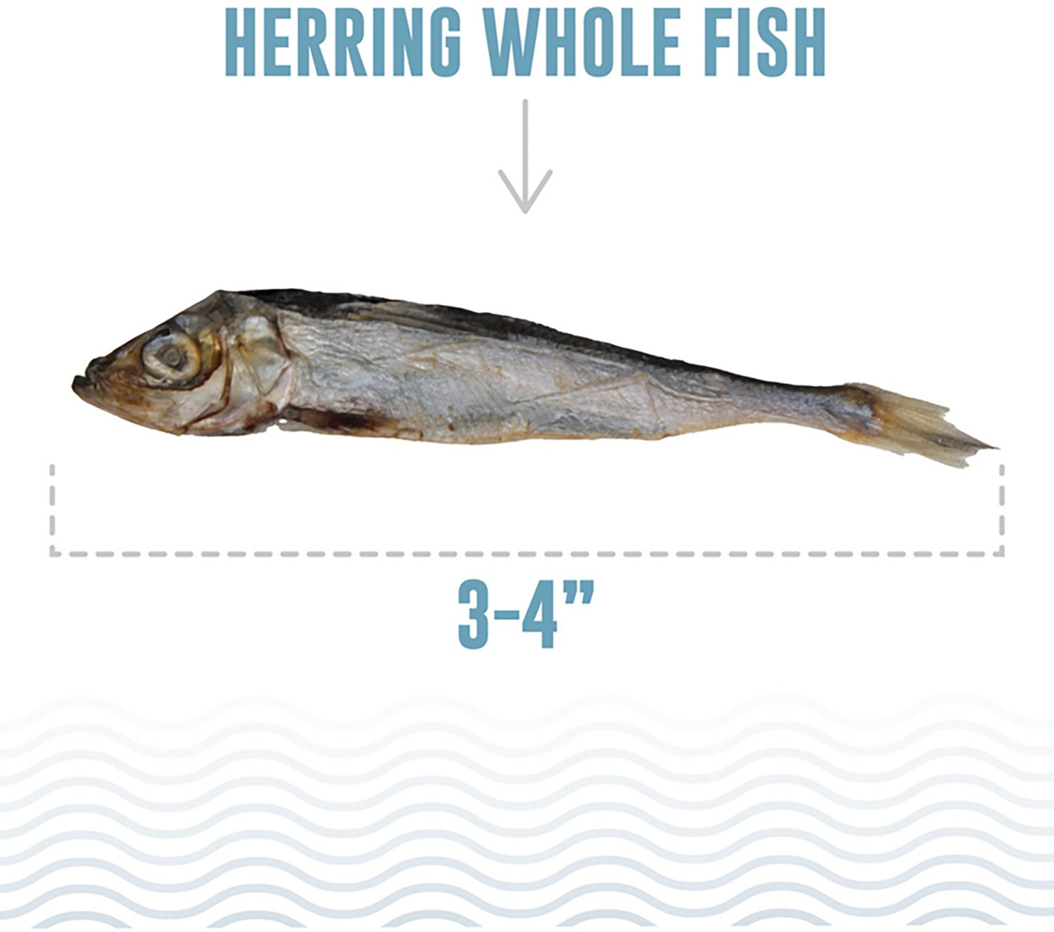 Icelandic+ 9 oz Whole Fish & Pieces Dog Treats