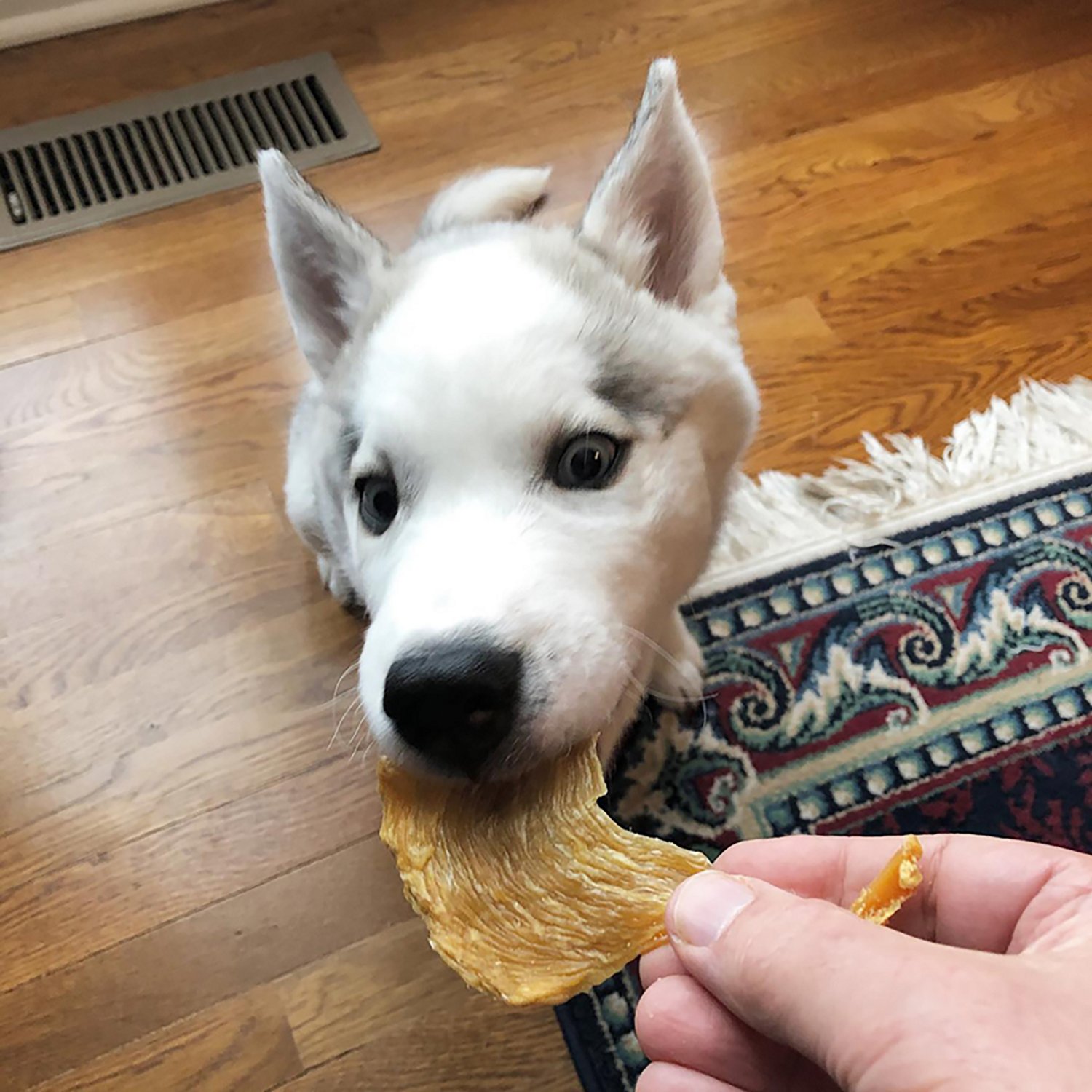 Scout & Zoe's 2 oz Chicken Dog Jerky