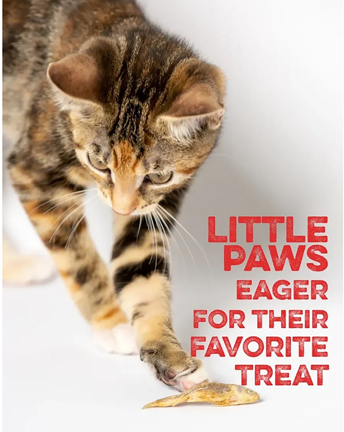 Scout & Zoe's 1 oz Munchworthy Minnows Dog Treats