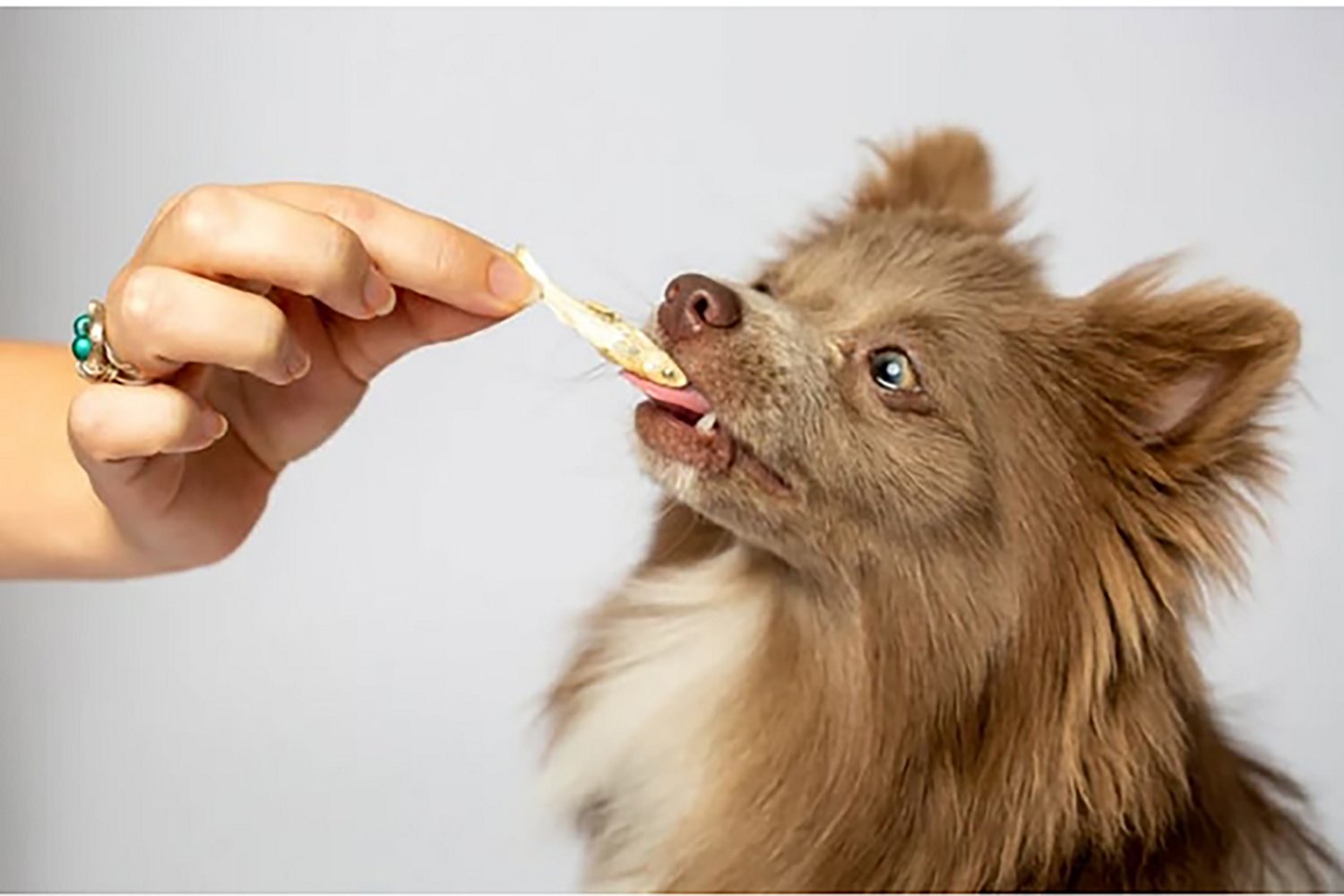 Scout & Zoe's 1 oz Munchworthy Minnows Dog Treats