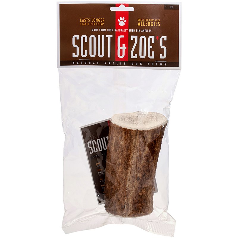 Scout & Zoe's Extra…