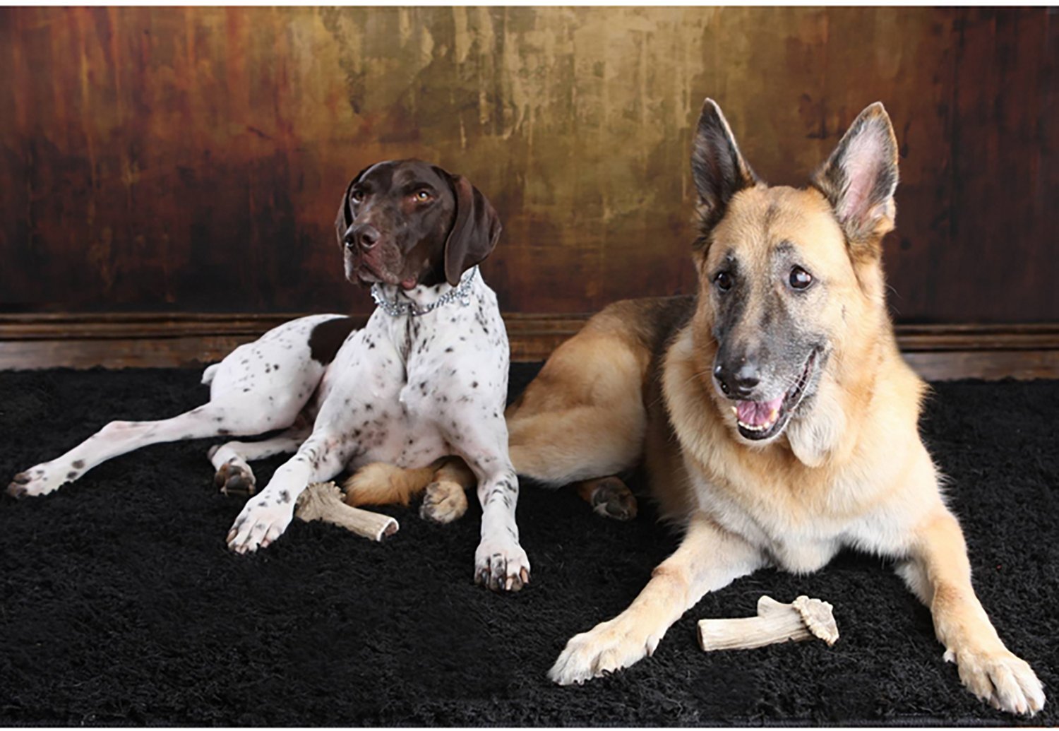 Scout & Zoe's Extra Large Elk Antler Dog Chews - view number 4