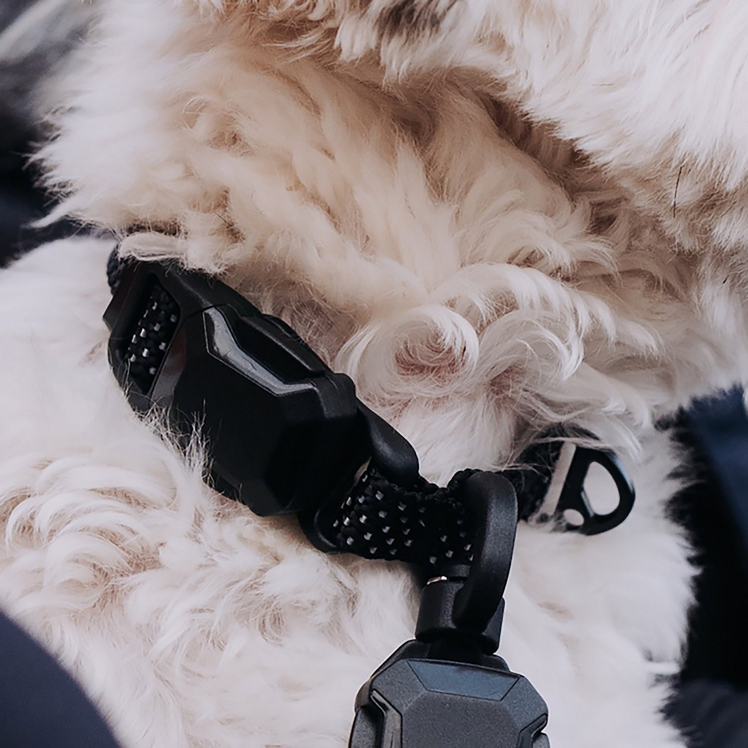 Hooza Quick Clip Collar - view number 6