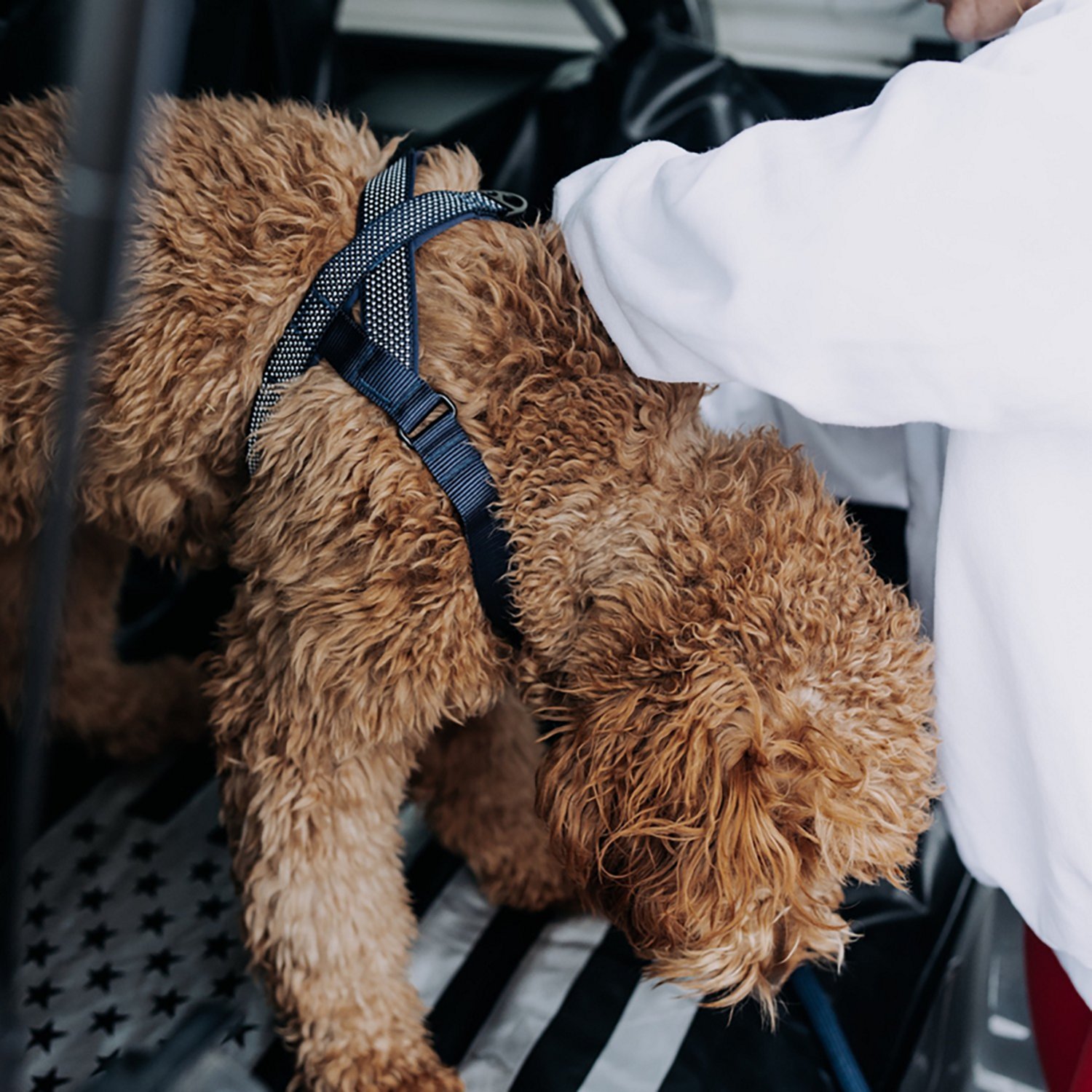 Hooza Quick Clip One Click Harness - view number 6