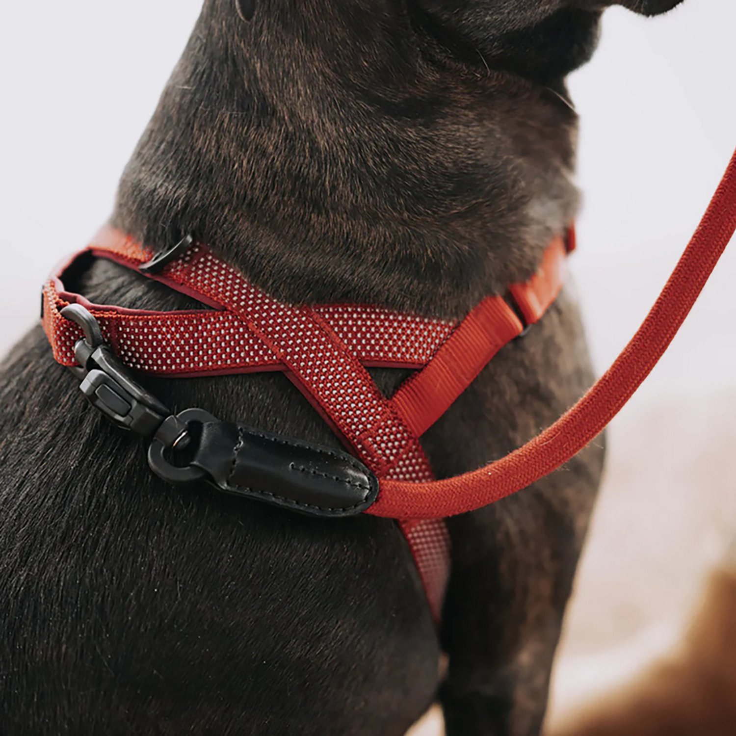 Hooza Quick Clip One Click Harness - view number 8