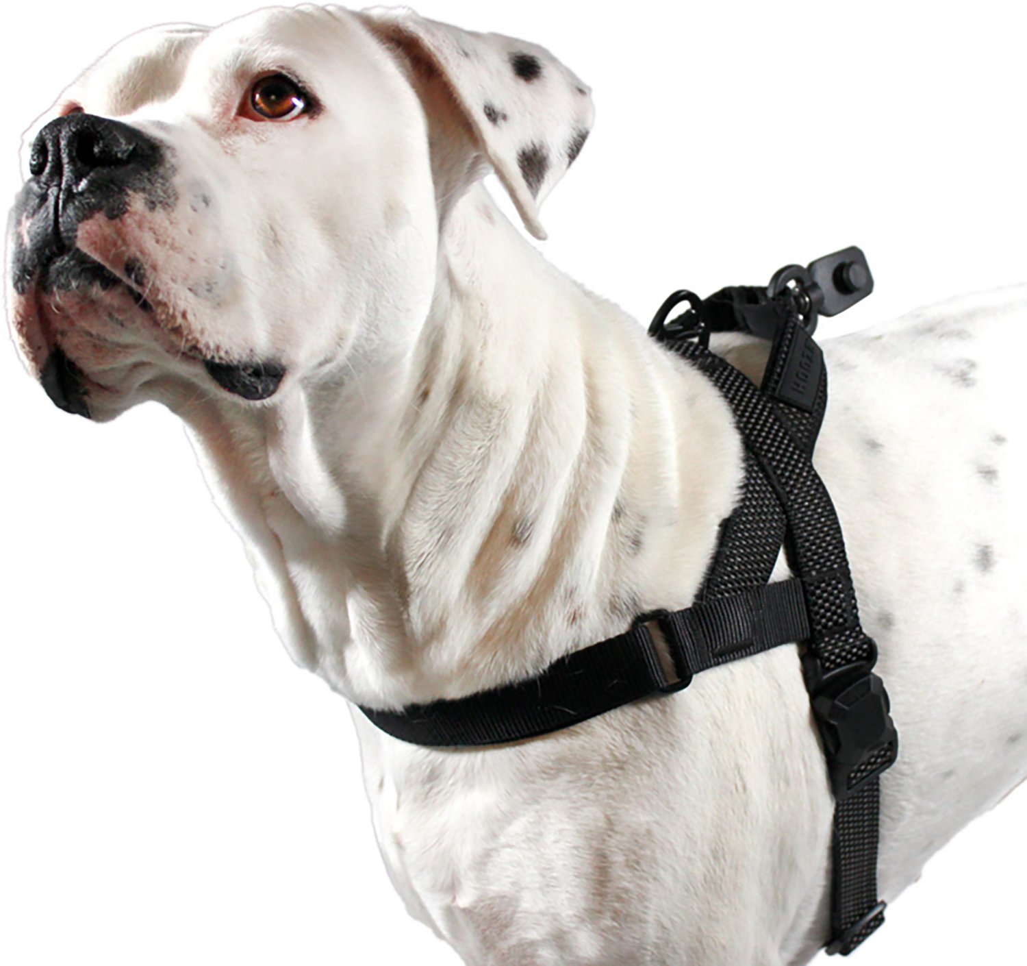 Hooza Quick Clip One Click Harness - view number 6